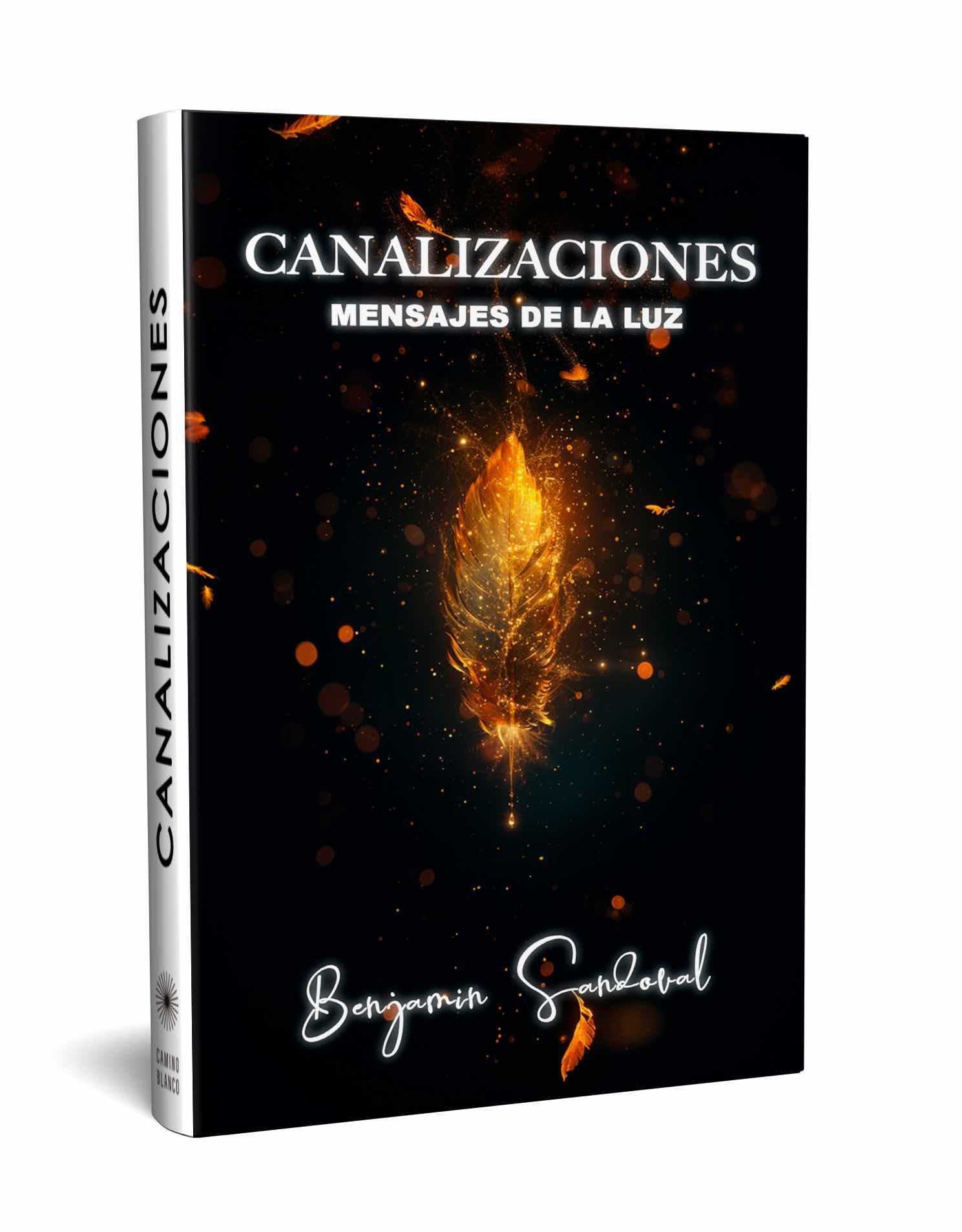 Portada de Canalizaciones de Benjamin Sandoval