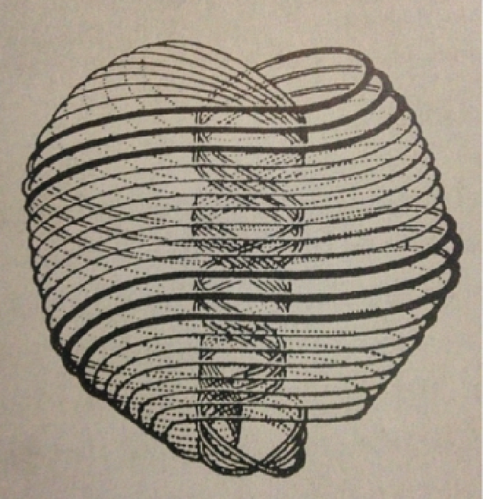 Líneas de fuerza de Faraday