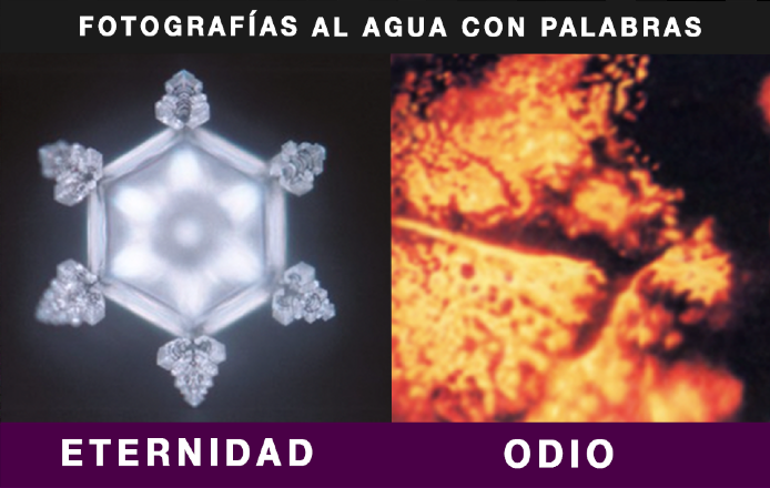 Fotografías al agua con palabras: eternidad y odio