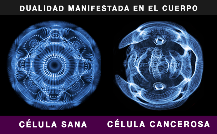 Dualidad manifestada en el cuerpo